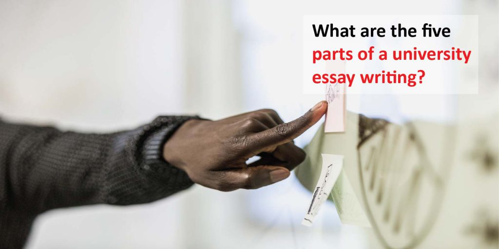 what-are-the-five-parts-of-a-university-essay-writing-uniresearchers