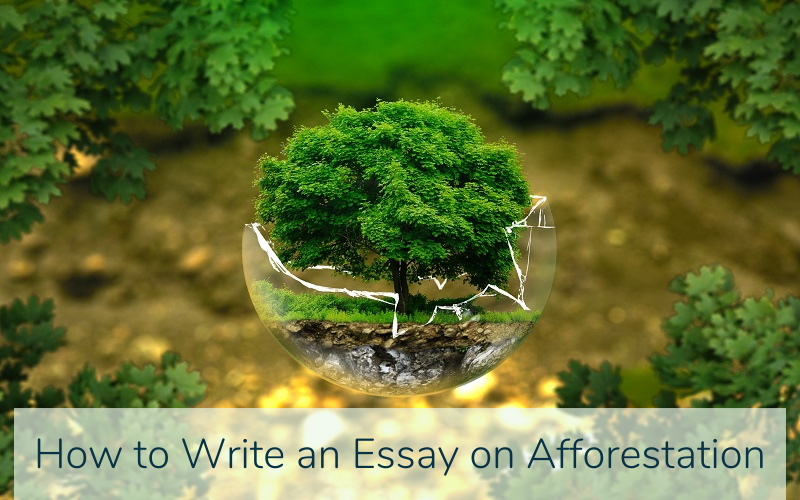 Essay on Afforestation