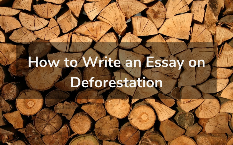 speech writing deforestation