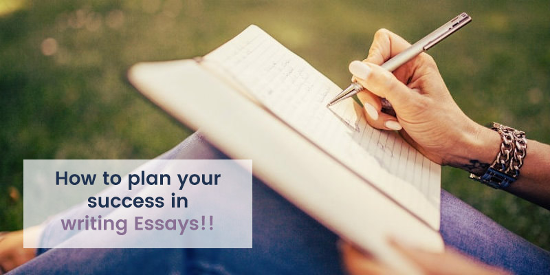 essay writing service