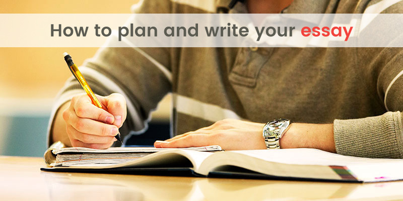 Plan your essay