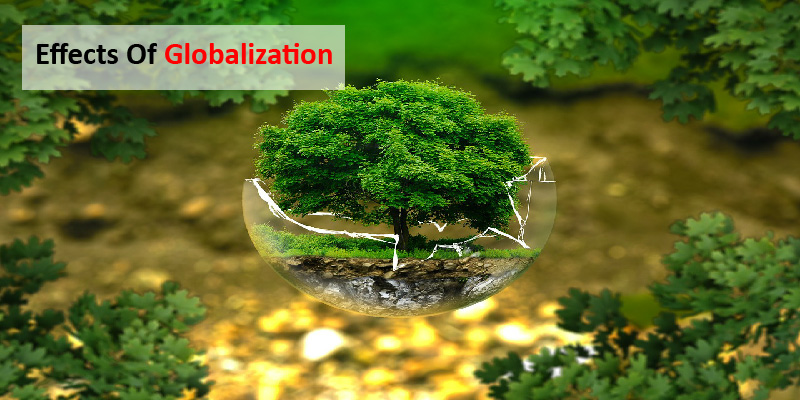 Effects of Globalization