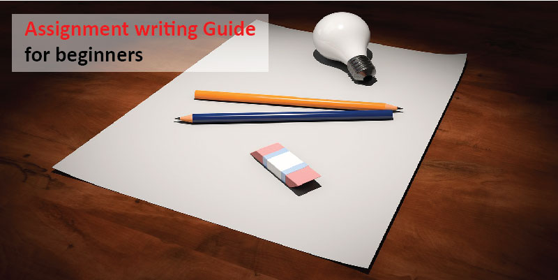 assignment writing help