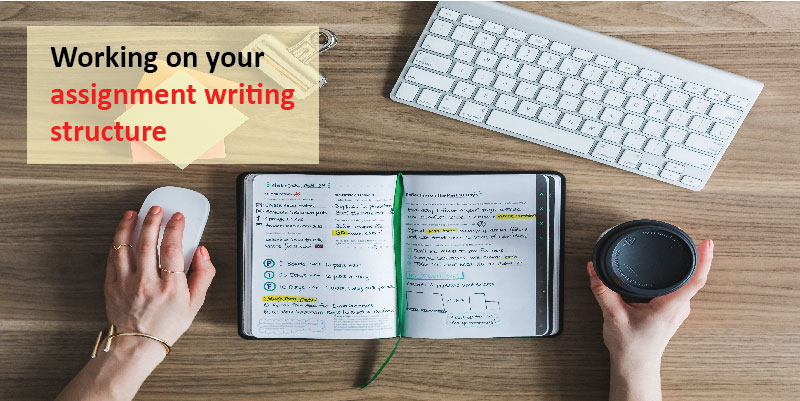 assignment writing structure