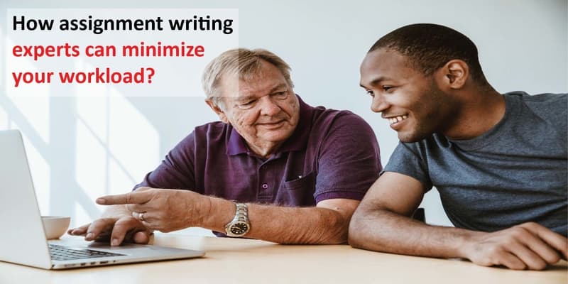 assignment writing experts