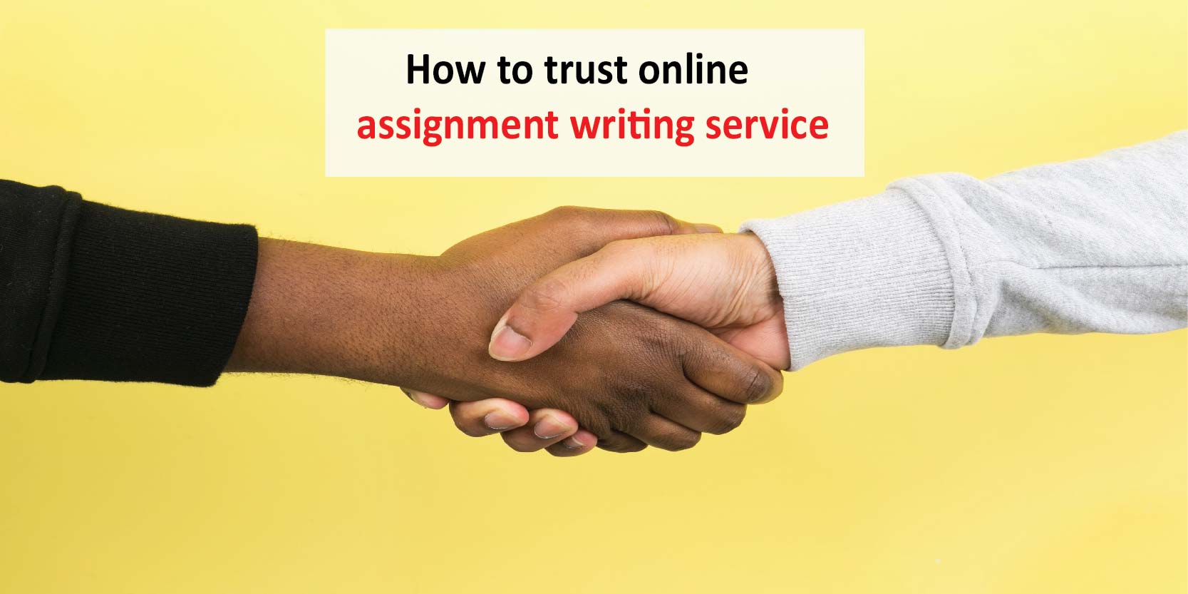 online assignment writing help
