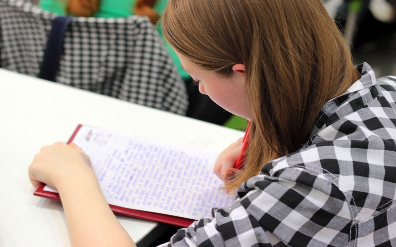Cheap PhD Thesis Writing Services