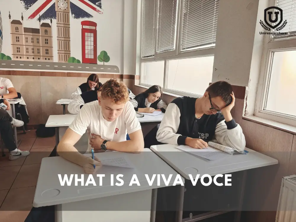 What Is a Viva Voce: UK Prep Guide 2026