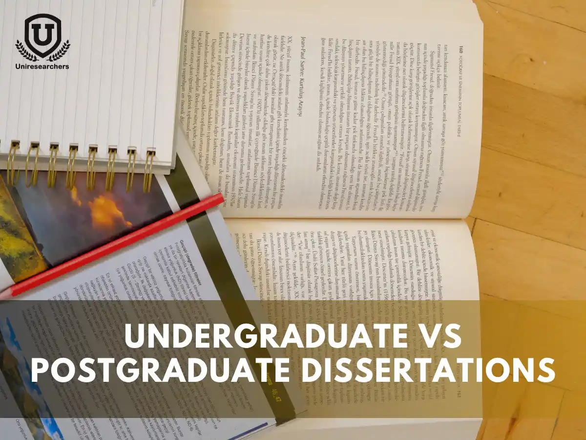 Undergraduate Vs Postgraduate Dissertations